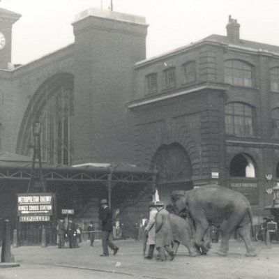 Olifanten lopen van de dokken langs Kings Cross station op weg naar ZSL London Zoo, september 1927 door Frederick William Bond